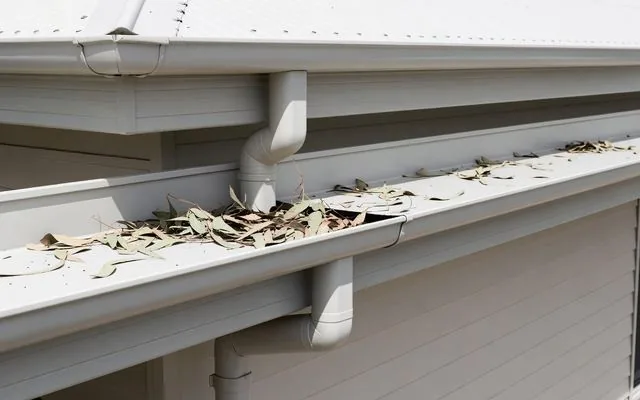 A gutter filled with leaf debris