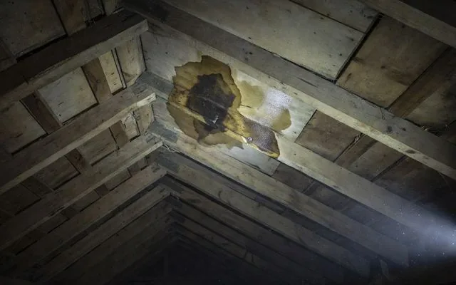 Water staining inside a roof cavity